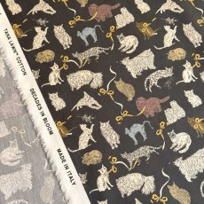 画像9: Koh & Eito【2025AW】 (9)