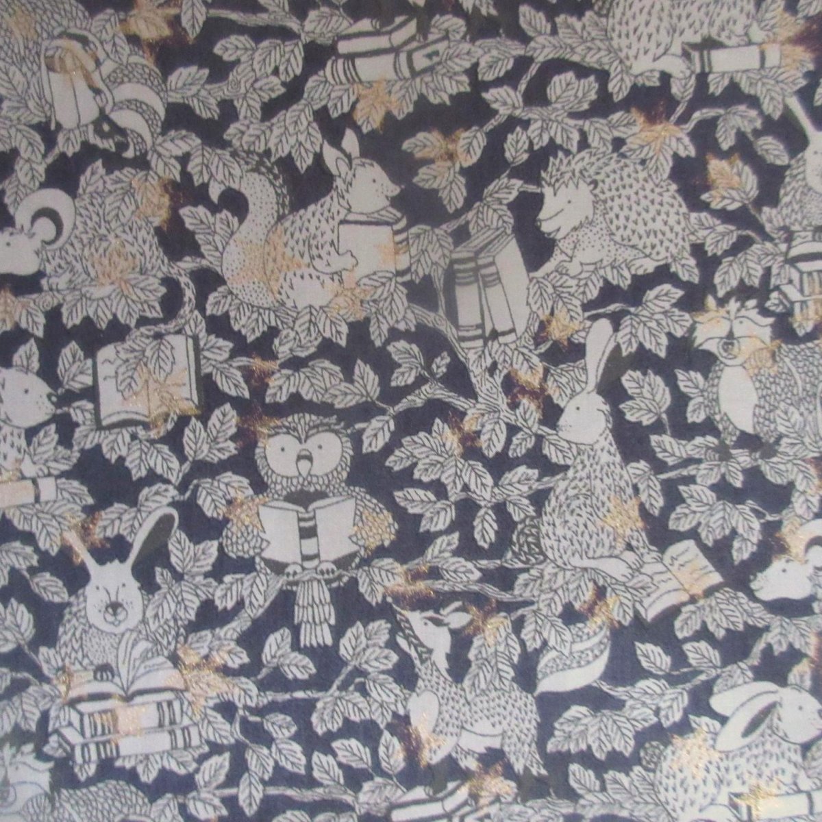 画像8: Starry Woodland【2025AW】 (8)