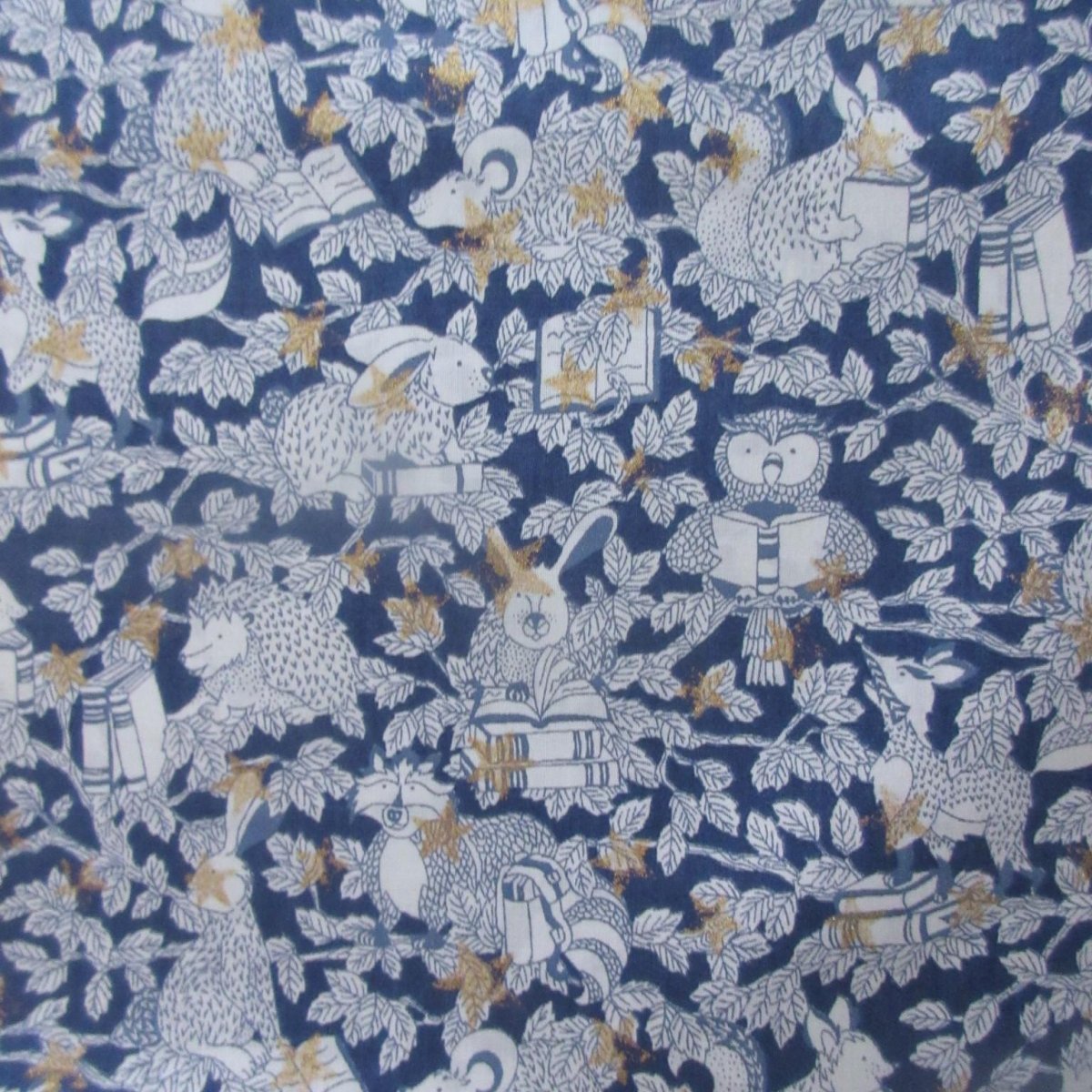 画像6: Starry Woodland【2025AW】 (6)